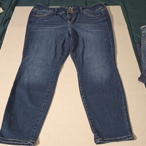 Torrid Dark Blue Skinny Jeans